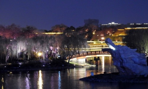 Zdjecie CHINY / Shaanxi / Xi'an / Nocne miasto 4