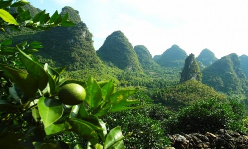 Zdjecie CHINY / Xiufeng  / Guilin / okolice Guilin