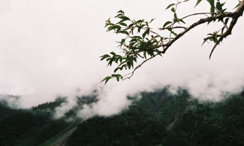 Zdjęcie CHINY / wawoz skaczacego tygrysa / okolice Chengdu / Zagubiony swiat...