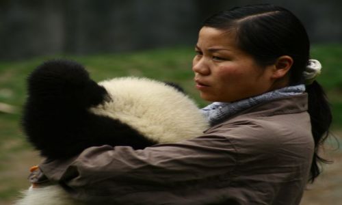 Zdjecie CHINY / brak / wolong nature reserve / opiekunka