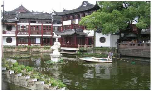 Zdjcie CHINY / Shanghai / Ogrod Yuyuan / Chiszczyzna  ogrodowa