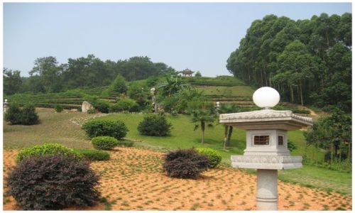 Zdjęcie CHINY / Chiny środkowe / Okolice Chengdu / Ogród herbaciarni