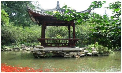 Zdjecie CHINY / Prow.Sichuan / Leshan / Czerwone rybki