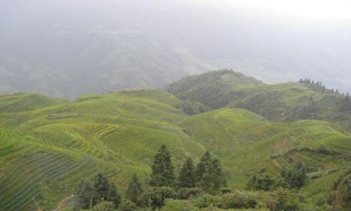 Zdjecie CHINY / brak / Longji okolice Guilin / Tarasy ryowe Longji