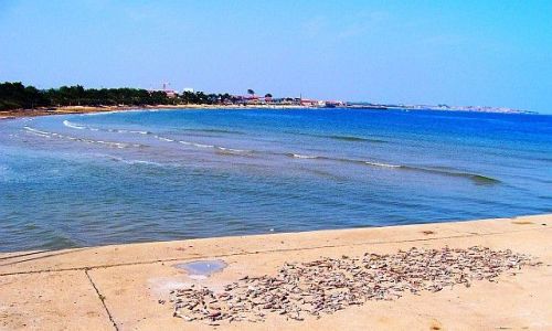 Zdjęcie CHINY / PROWINCJA SHANDONG / RIZHAO / SUSZONE PRZEZ WIATR