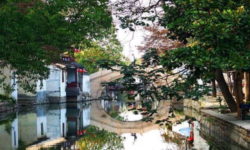 Zdjęcie CHINY / PROWINCJA JIANGSU / ZHOUZHUANG / ZMĘCZONE DRZEWA