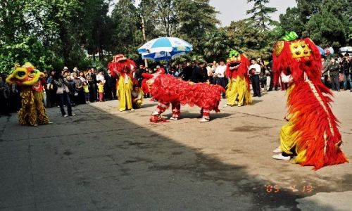 Zdjęcie CHINY / Henan / Luoyang / Świeto Piwonii