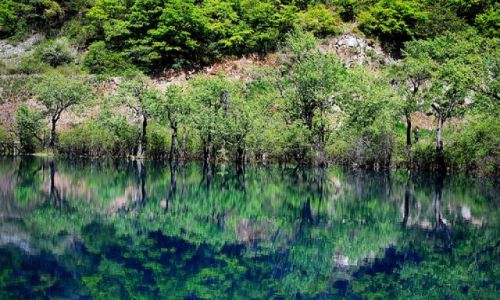 Zdjecie CHINY / Sichuan / Jiuzhaigou / #6