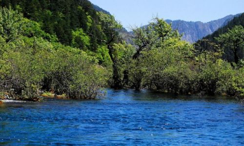 Zdjęcie CHINY / Sichuan / Jiuzhaigou / #9