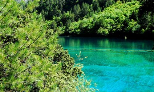 Zdjęcie CHINY / Sichuan / Jiuzhaigou / #15