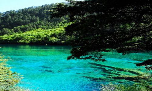Zdjecie CHINY / Sichuan / Jiuzhaigou / #17