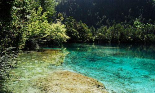 Zdjęcie CHINY / Sichuan / Jiuzhaigou / #18
