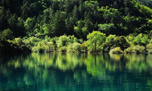 Zdjecie CHINY / Sichuan / Jiuzhaigou / #23