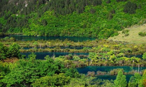 Zdjęcie CHINY / Sichuan / Jiuzhaigou / #25
