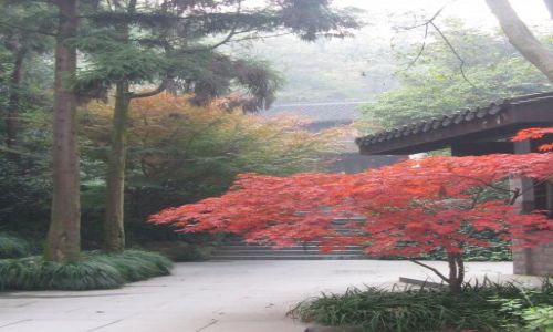 Zdjęcie CHINY / Hangzhou / miejski park / kolor jesieni