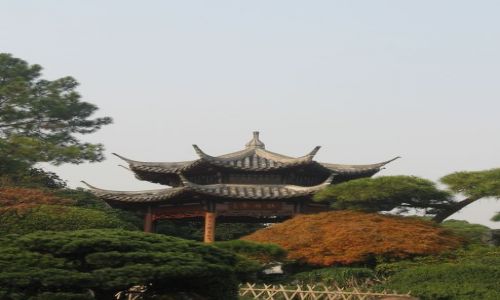 Zdjęcie CHINY / Hangzhou / miejski park / altaneczka