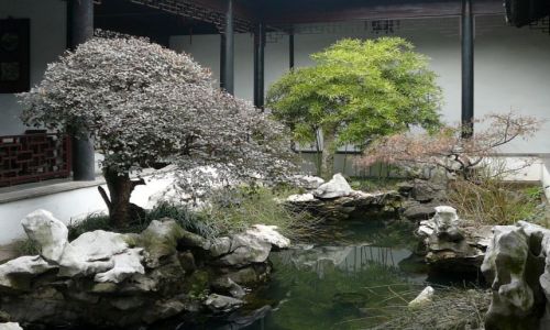 Zdjecie CHINY / Suzhou / ogrod / ogrody Suzhou