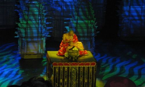 Zdjęcie CHINY / Pekin / Czerwony teatr / pokaz Kung-fu