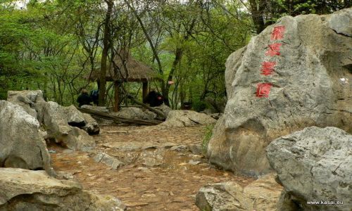 CHINY / - / Hangzhou / Hangzhou - wityna Lingyin Si - wzgrze