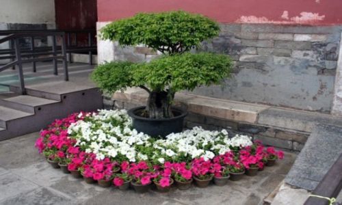 Zdjęcie CHINY / - / Grobowce z dynastii Ming / W Pekinie