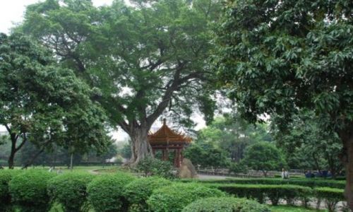 Zdjęcie CHINY / Fuzhou / Gongye Road / Xichan Buddhist Temple