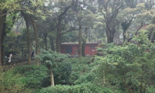 Zdjęcie CHINY / Gushan / Fuzhou / Gushan Yongquanshi Temple