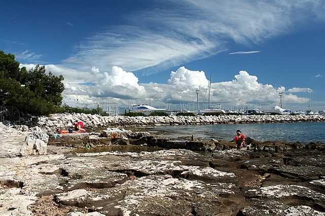 Zdjęcia: Umag, Istria, Przed burzą 1, CHORWACJA Zdjęcia: Umag, Istria, Przed burzą 1, CHORWACJA