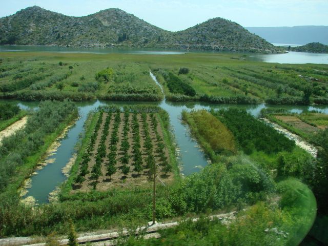 Zdjęcia: pod Splitem, Split, Rozlewisko rzeki Neretwy 1, CHORWACJA Zdjęcia: pod Splitem, Split, Rozlewisko rzeki Neretwy 1, CHORWACJA