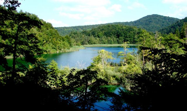 Zdjęcia: plitvice, okolice Zagrzebia, Plitwickie Jeziora, CHORWACJA Zdjęcia: plitvice, okolice Zagrzebia, Plitwickie Jeziora, CHORWACJA