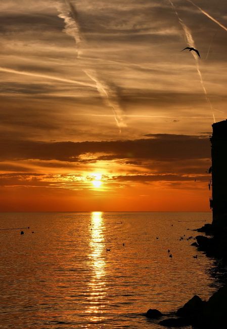 Zdjęcia: Rovinj, Istria, Na niebie malowane, CHORWACJA Zdjęcia: Rovinj, Istria, Na niebie malowane, CHORWACJA