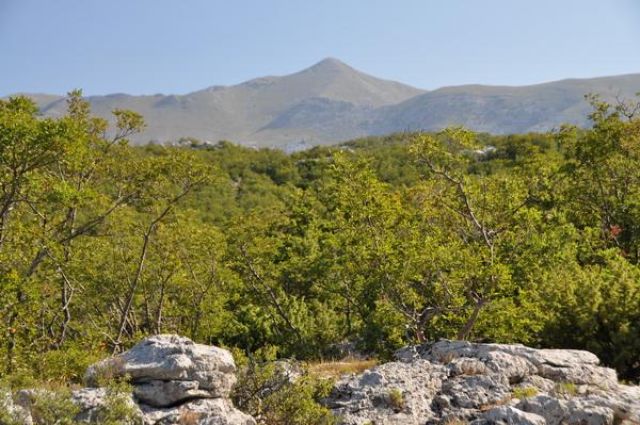 Zdjęcia: Sveto Brdo, Dalmacja, Sveto Brdo 1753 m n.p.m., CHORWACJA Zdjęcia: Sveto Brdo, Dalmacja, Sveto Brdo 1753 m n.p.m., CHORWACJA
