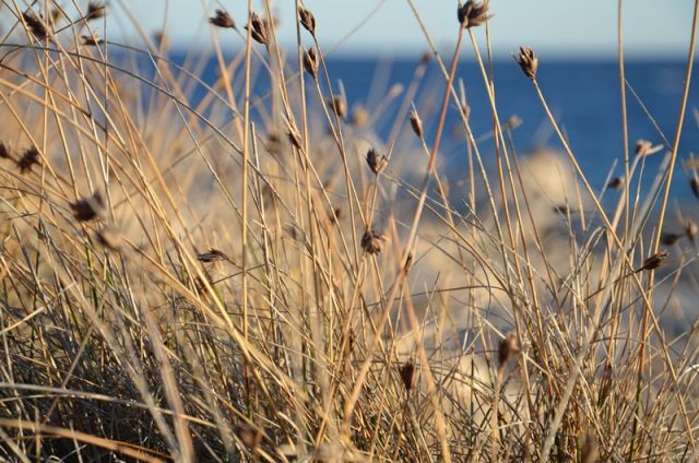 Zdjęcia: Veli Rat , Wyspa Dugi Otok , CHORWACJA Zdjęcia: Veli Rat , Wyspa Dugi Otok , CHORWACJA