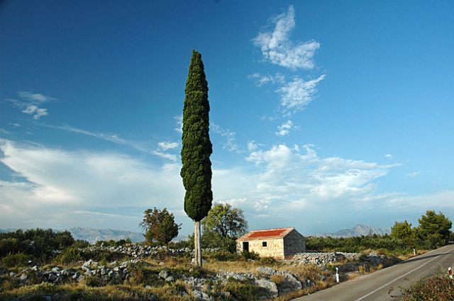Zdjęcia: miasto Hvar, wyspa Hvar, pejzażyk przydrozny, CHORWACJA Zdjęcia: miasto Hvar, wyspa Hvar, pejzażyk przydrozny, CHORWACJA