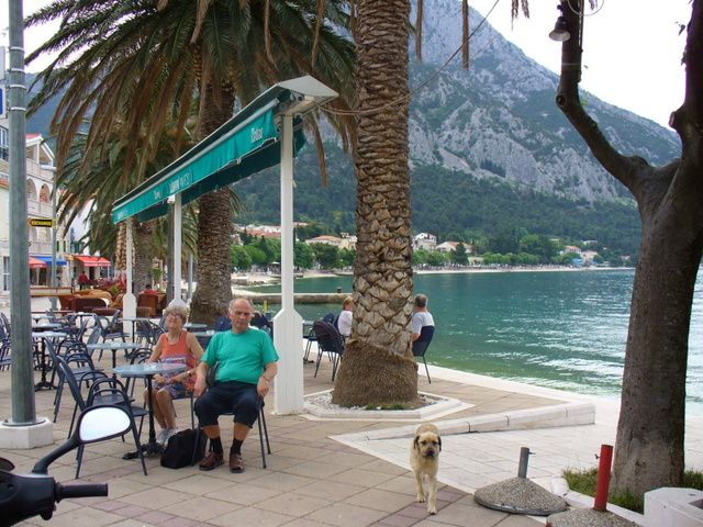 Zdjęcia: Gradacz, Makarska riviera, Krótki pobyt w Gradaczu., CHORWACJA Zdjęcia: Gradacz, Makarska riviera, Krótki pobyt w Gradaczu., CHORWACJA
