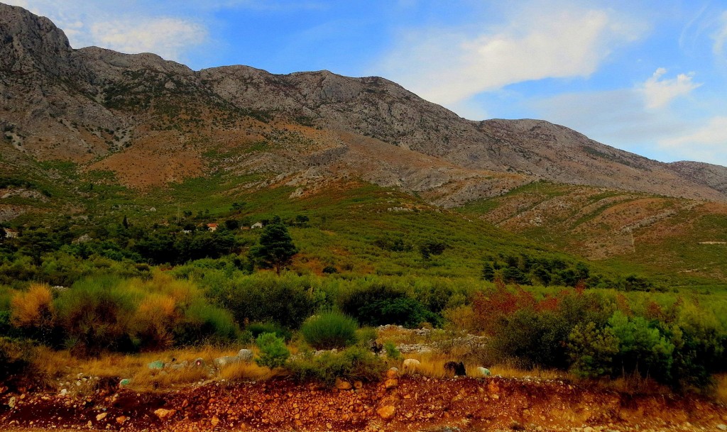 Zdjęcia: Riviera Makarska, Dalmacja, wrześniowe Biokovo, CHORWACJA Zdjęcia: Riviera Makarska, Dalmacja, wrześniowe Biokovo, CHORWACJA