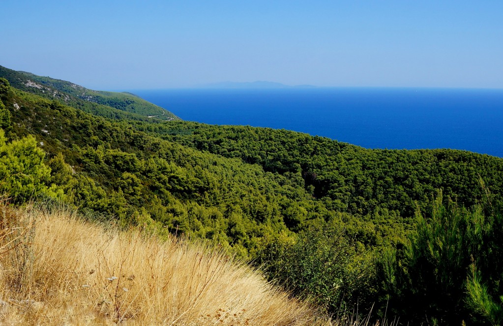 Zdjęcia: Korčula, poludniowa Dalmacja, nad przepaścią..., CHORWACJA Zdjęcia: Korčula, poludniowa Dalmacja, nad przepaścią..., CHORWACJA