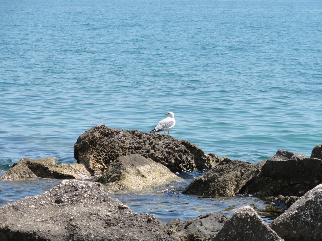 Zdjęcia: Kastel, środkowa Dalmacja, W oczekiwaniu na plażowiczów, CHORWACJA Zdjęcia: Kastel, środkowa Dalmacja, W oczekiwaniu na plażowiczów, CHORWACJA