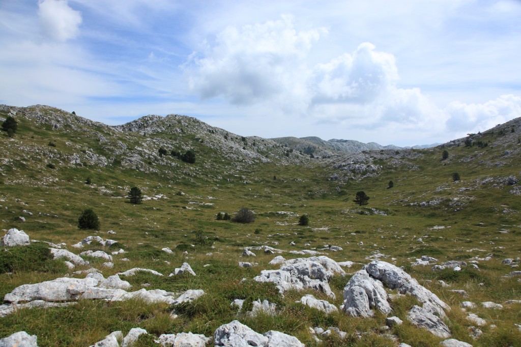 Zdjęcia: Park Przyrodniczy Biokovo, Makarska, Łączka, CHORWACJA Zdjęcia: Park Przyrodniczy Biokovo, Makarska, Łączka, CHORWACJA
