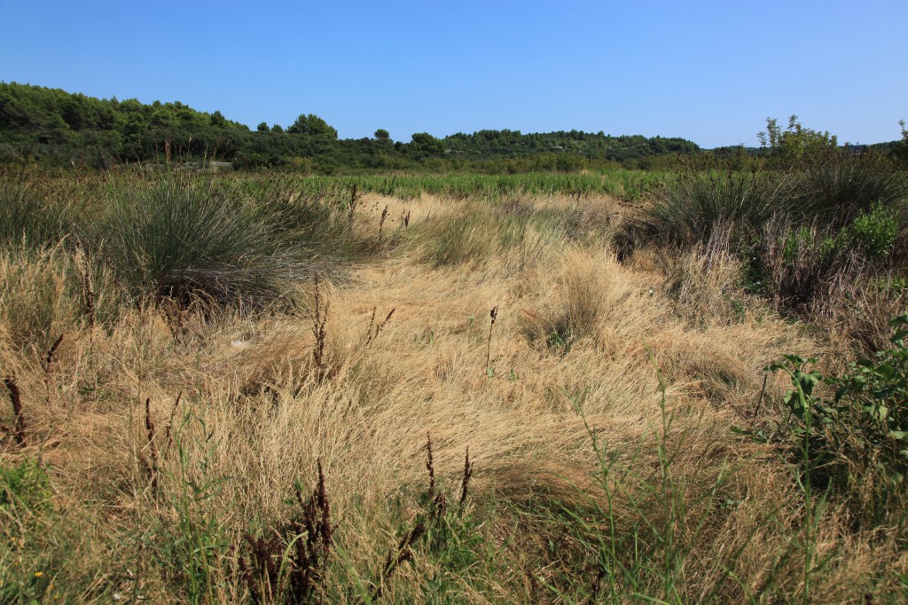 Zdjęcia: Korčula, Południowa Dalmacja, W drodze do Lumbardy, CHORWACJA Zdjęcia: Korčula, Południowa Dalmacja, W drodze do Lumbardy, CHORWACJA