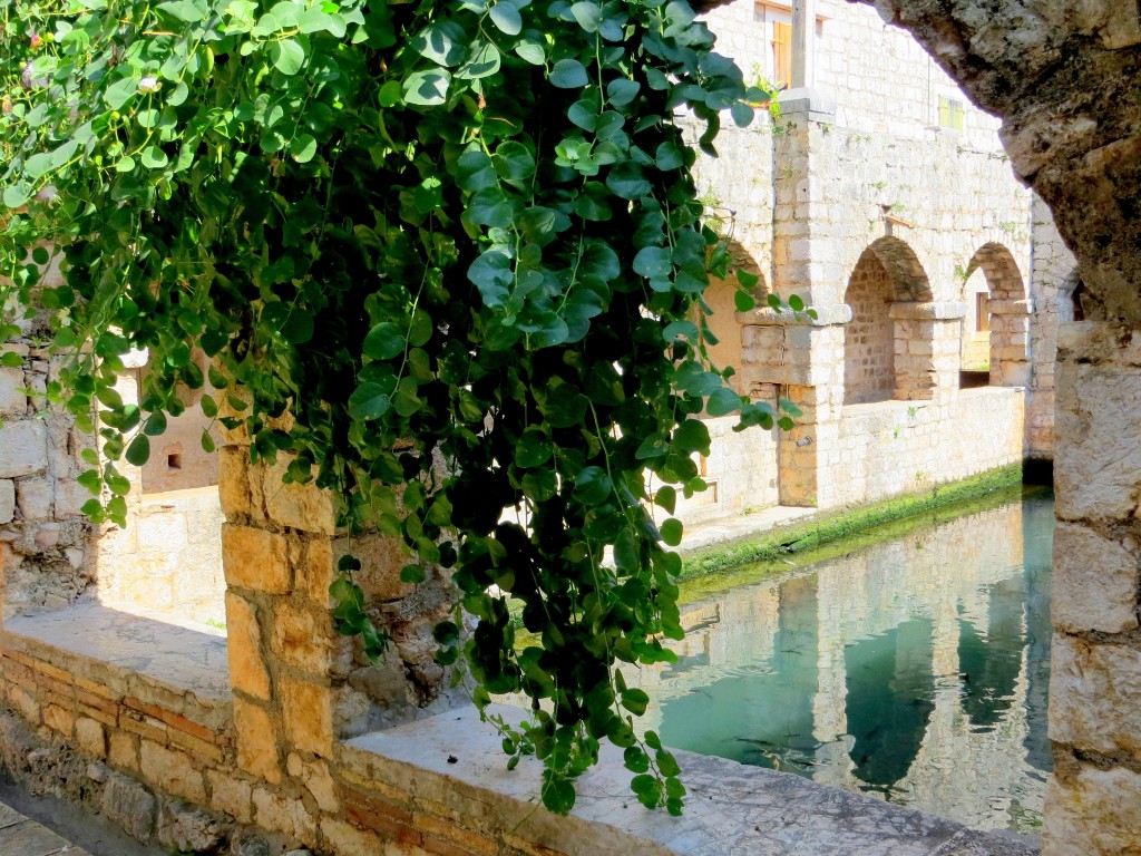 Zdjęcia: Stari Grad, Hvar, sadzawka z łososiami..., CHORWACJA Zdjęcia: Stari Grad, Hvar, sadzawka z łososiami..., CHORWACJA