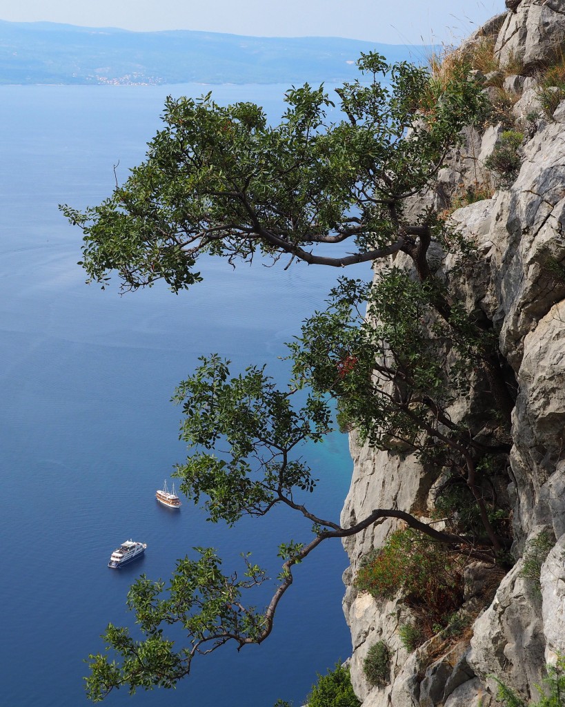 Zdjęcia: Omiš, w drodze do twierdzy Starigrad, Dalmacja, nieulękłe..., CHORWACJA Zdjęcia: Omiš, w drodze do twierdzy Starigrad, Dalmacja, nieulękłe..., CHORWACJA