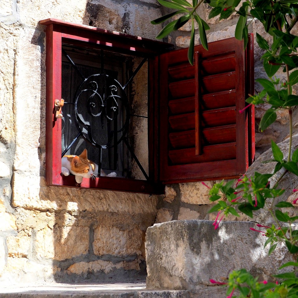 Zdjęcia: Hvar, Hvar, panienka z okienka..., CHORWACJA Zdjęcia: Hvar, Hvar, panienka z okienka..., CHORWACJA