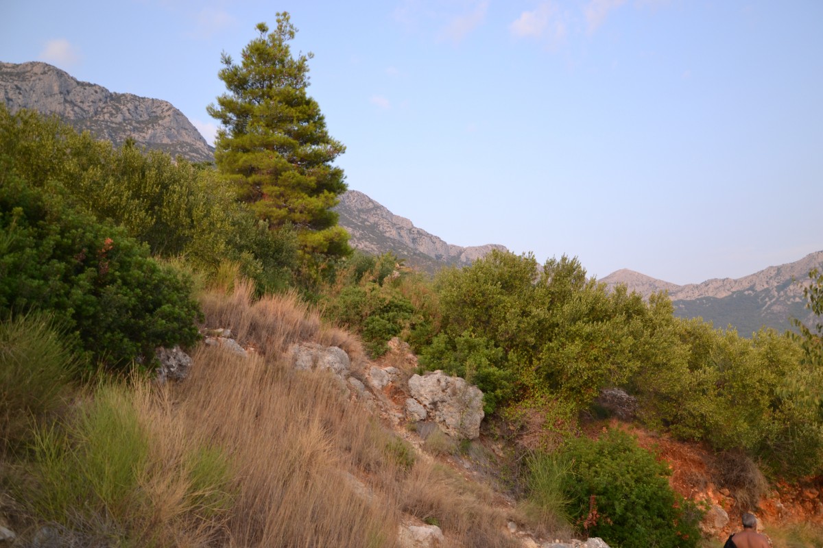 Zdjęcia: Gradac, Żupania splitsko - dalmatyńska, ....., CHORWACJA Zdjęcia: Gradac, Żupania splitsko - dalmatyńska, ....., CHORWACJA