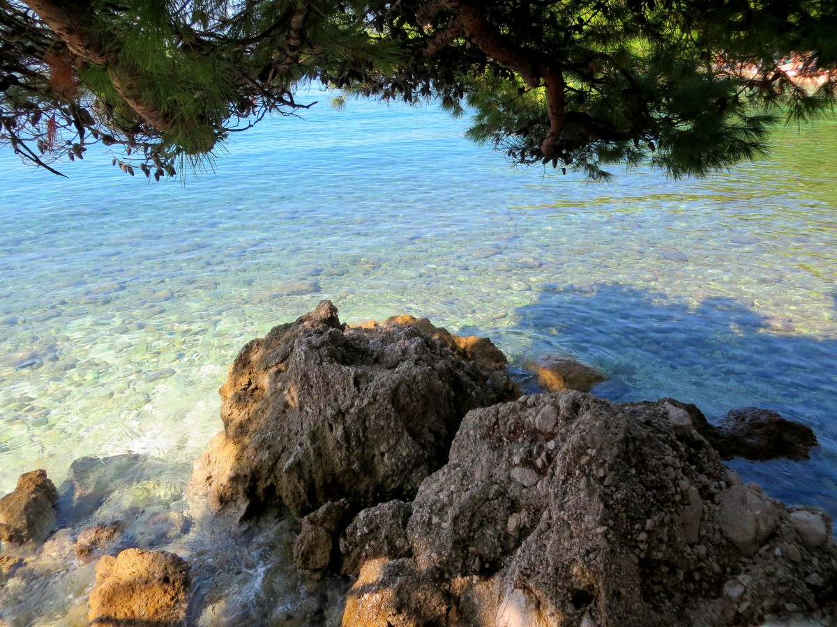 Zdjęcia: Brela, Punta Rata, Riviera Makarska, pod pachnącym parasolem..., CHORWACJA Zdjęcia: Brela, Punta Rata, Riviera Makarska, pod pachnącym parasolem..., CHORWACJA