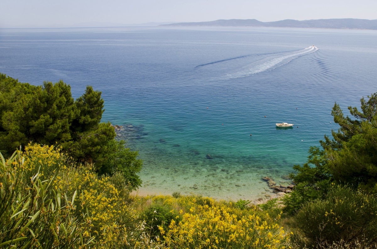 Zdjęcia: Pisak, Dalmacja, Adriatyk, CHORWACJA Zdjęcia: Pisak, Dalmacja, Adriatyk, CHORWACJA