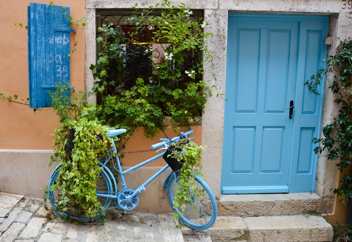 Zdjęcia: Rovinj, Pod Kolor, CHORWACJA Zdjęcia: Rovinj, Pod Kolor, CHORWACJA