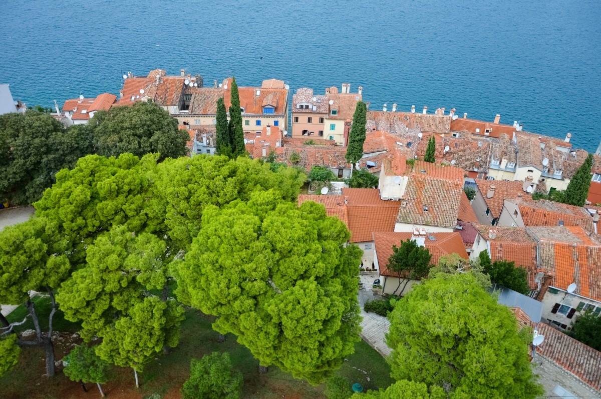 Zdjęcia: Rovinj, Kontrasty, CHORWACJA Zdjęcia: Rovinj, Kontrasty, CHORWACJA