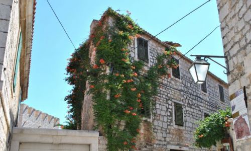 Zdjcie CHORWACJA / Wyspa Hvar / Jelsa / Jelsa