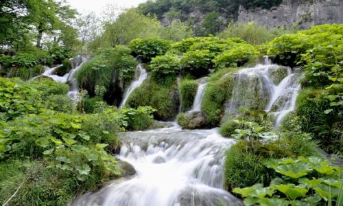 Zdjcie CHORWACJA / Kvarner / Park Narodowy Plitvickie Jeziora / Kaskady w Plitvicach
