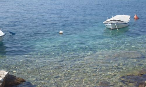 Zdjęcie CHORWACJA / środkowo południowa część Chorwacji / wyspa Solta / Na błękitnej lagunie